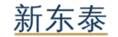 新东泰一对一